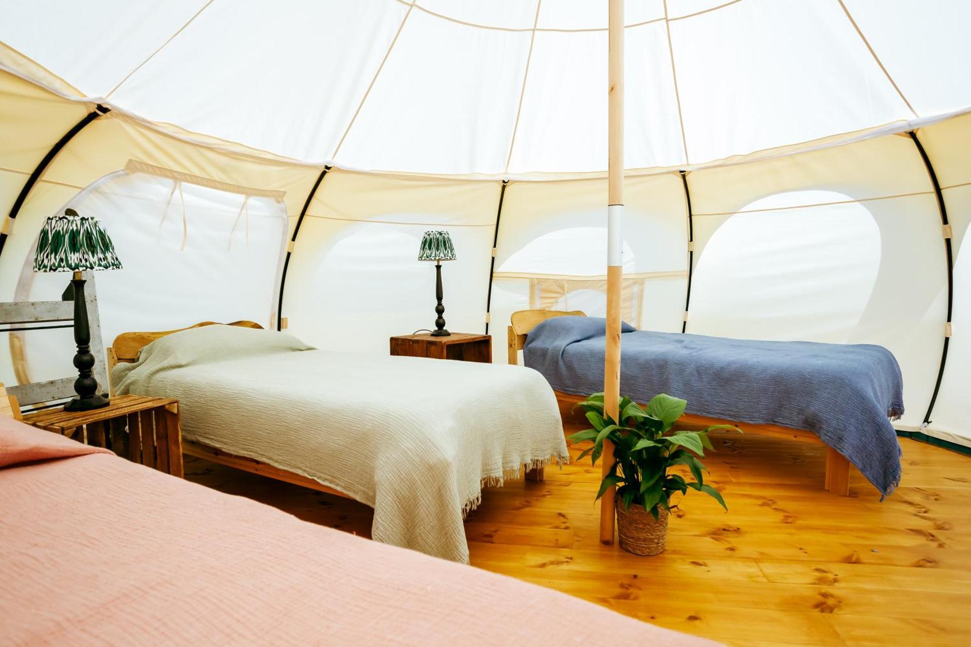 Villa Luxury Glamping Retreat In Battle Esterno foto